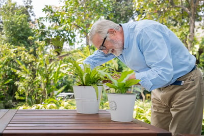 anciano-anciano-purificando-agua-cuidando-arbol-pequeno-mesa-jardin-2